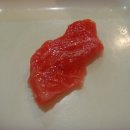 열린참치