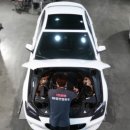 아이언게러지 이미지