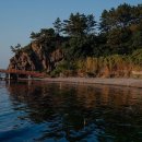 호미반도해안둘레길총정리 이미지