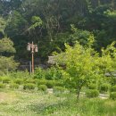 돌할매식당 이미지