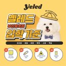 용호유치원 이미지