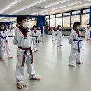 천하효태권도장 이미지