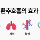 (주)브레인트레이닝센터 이미지
