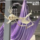 인천아트플랫폼 | 인천 아트플랫폼 무료 전시 '변신연습' 후기! 요즘 가볼만한 전시 추천