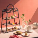 애프터눈 이미지