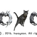 타이니프린세스 이미지