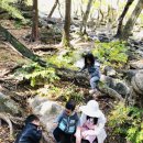 큰산어린이집 이미지