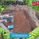 한잎새