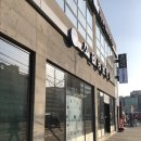 포항동물병원 네이버블로그