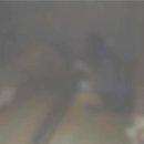 화성PC게임장 이미지