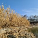 용산1농로 이미지