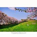 훈이목장 이미지