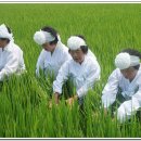 두리놀이 이미지