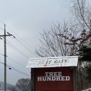 더숲애플트리어린이집 | [강원도 인제] 겨울 감성 끝판왕 🌲자작나무숲 근처 트리헌드레드카페 (Tree Hundred) 내돈내산 후기