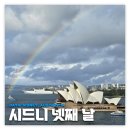 호주여행: 시드니 | 마지막 날 일정 스투시 Theeca 오페라바 스콘 맛집 후기