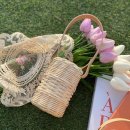 고급 감성 라탄공예 이미지