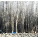 그집이야기펜션 이미지