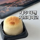 제주 하멜 치즈 케이크 예약 취소 당일 픽업 후기