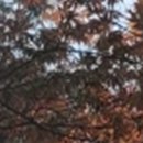방치과의원 이미지