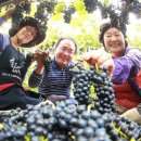 박종진 농장 이미지