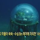 네모농장 이미지