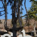 올라알파카 카페 이미지