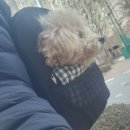 모니드 이미지