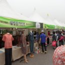 웰빙풍기인견 이미지