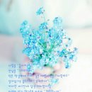 기분좋은날 Daum카페