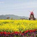 의령-의령-의령-D-5 이미지