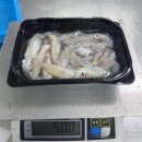 1월5일.생물호래기,대구,해삼,참치오마카세,물김,생굴 이미지