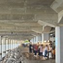 내일에프에스 | 라라라 페스티벌 2025 기본정보부터 후기까지, 3500원 인생 라떼 만난 썰(주차장꿀팁)