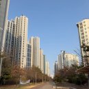 영종 LH7단지 아파트 | 영종도 하늘도시 LH장 목요장터 다녀온 후기 | 염통꼬치는 글쎄, 돈까스는 재구매각👍