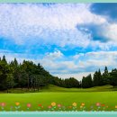 여주-0700 이미지