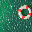 대구농업마이스터고등학교 이미지