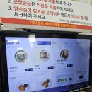 1박 2일 먹방 여행 후기 (여행코스 및 맛집 추천...진미집 | 전주 한옥마을 | 소복 | 길거리야 | 원평...