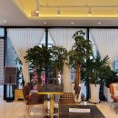 여수블라썸호텔 앤 카페 이미지