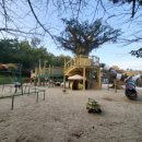 쇠평어린이공원 놀이터 이미지