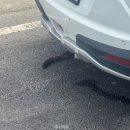 마루텔레콤 | 여름 지나가욥 지나가여 지나가요 지나갑니다