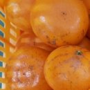 기일농장 이미지