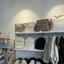 독시티 | 일본에서 시티독 네오플랜 백팩 이동가방 L 산 후기