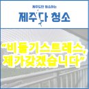 미듬관리 | 제주입주청소업체 중앙로 미듬아뜨리에 비둘기퇴치 서비스로 깨끗하고 쾌적한 주거환경 만들기
