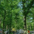 문복산 펜션 이미지