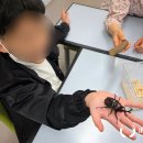 대천리초등학교 이미지