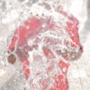 유통단지신기공원 이미지