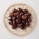 뜨라네