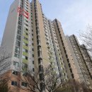 숲속연세약국 이미지