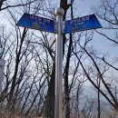 금학산관광농원 | [블랙야크100대명산] 홍천금학산 비박산행후기