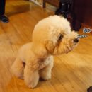 선미2농장 이미지