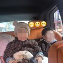 평화차시트 이미지